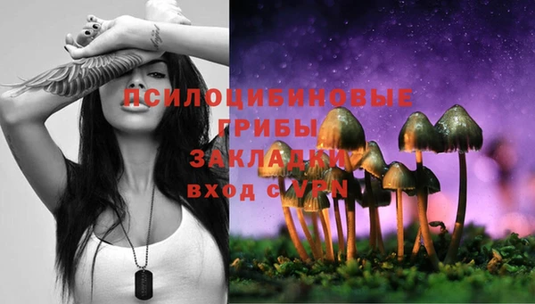 таблы Осташков