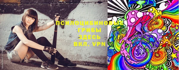 дживик Алексин