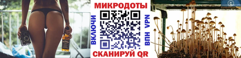 Псилоцибиновые грибы Cubensis  KRAKEN зеркало  Усолье-Сибирское 